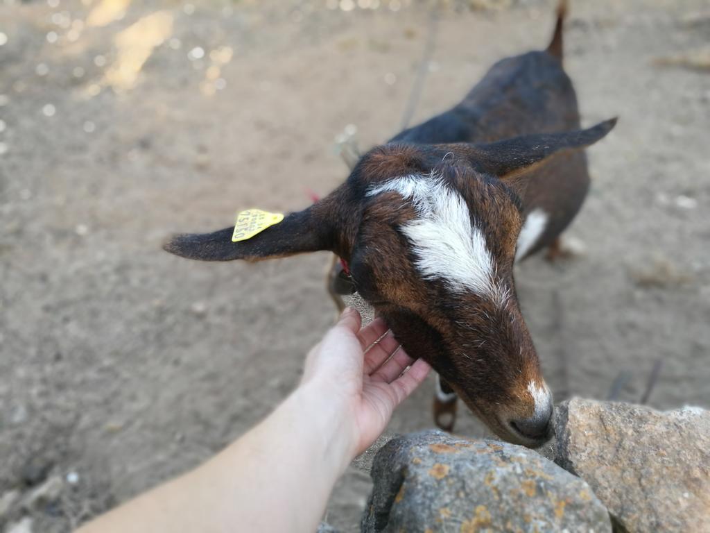 Agroturismo Rural Can Prats Santa Eularia des Riu Esterno foto