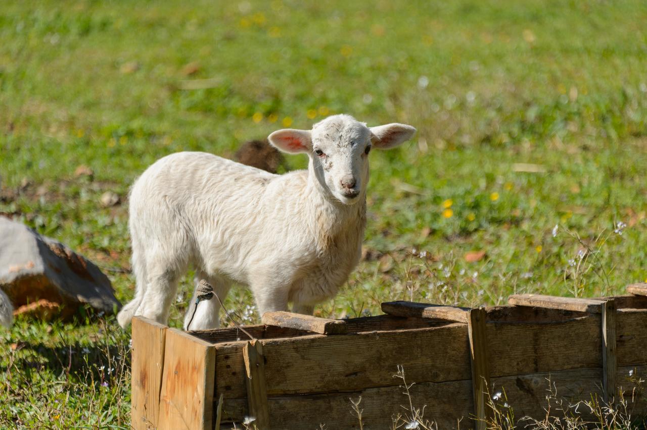 Agroturismo Rural Can Prats Santa Eularia des Riu Esterno foto
