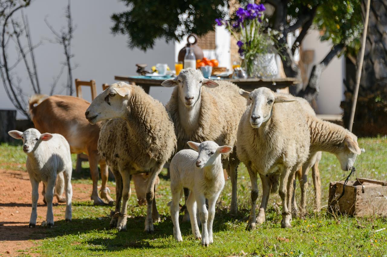 Agroturismo Rural Can Prats Santa Eularia des Riu Esterno foto